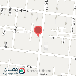 عکس الکتریکی پارسا