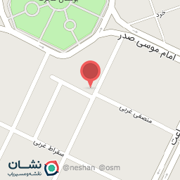 عکس چیکن ذغالی