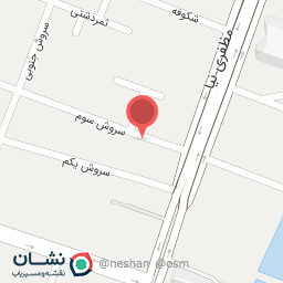 عکس برق اتومبیل مجید