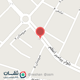 عکس پیتزا عسل جون 