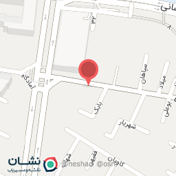 عکس دکتر نسیم رافعی