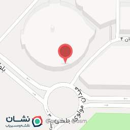 عکس زیتون سرای سبز 