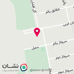 عکس مربی بوکس،بدنسازی در جیم و هوم جیم