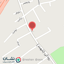 عکس دزدگیر ماجیکار کفشگر