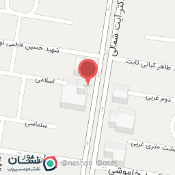 عکس کیف آمسا