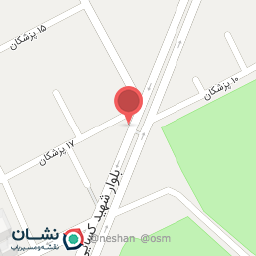 عکس مشاور املاک رایان