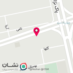 عکس راشین دُر