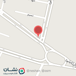 عکس اگزوز سازی علی