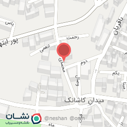 عکس رستوران آسیایی نیدا اکسپرس