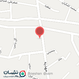 عکس تیک برگر