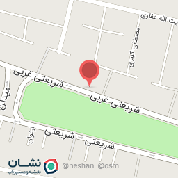 عکس موادغذایی امیری