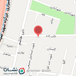 عکس نان لواشی