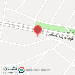 عکس سلف سرویس فلاویچ