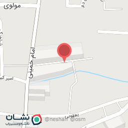 عکس کفش دینا