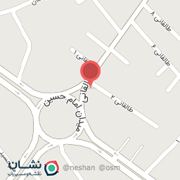 عکس لوازم کباب پزی