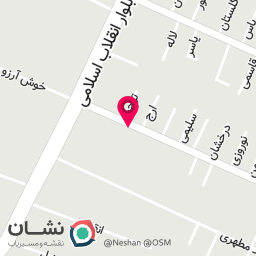 عکس الکتریکی صادق