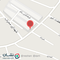 عکس تهیه غذا مریم بانو