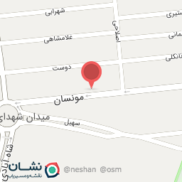 عکس مکانیکی استیری