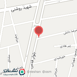 عکس برق خودرو حامد