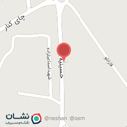 عکس حسینه هدایت 