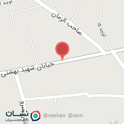 عکس پیتزا بوف