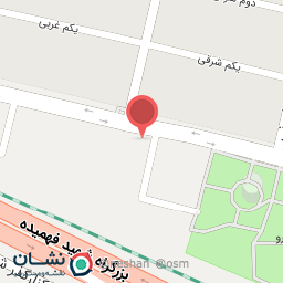 عکس اتو سرویس جوان