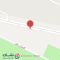 عکس تعویض روغنی سید