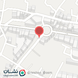 عکس کفش چیتا