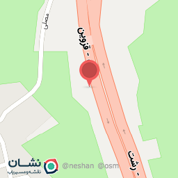 عکس زیتون امیرحسین 