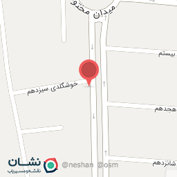 عکس قصابی میثم