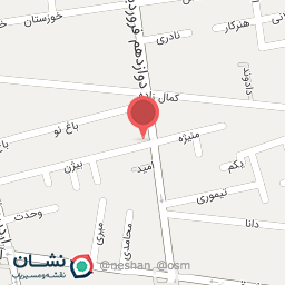 عکس الکتریکی همدانی