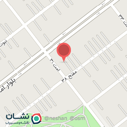 عکس حبوباتی زیتون