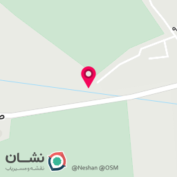 عکس فست فود نانچیک