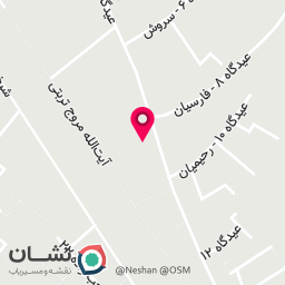 عکس نقره سازی سینا