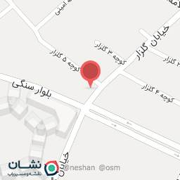 عکس فست‌فود شب های شیراز