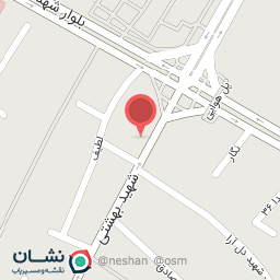 عکس کیف و کفش سرافراز