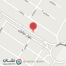 عکس لوازم تزئینات خودرو بابک