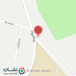 عکس پیتزا و ساندویچ دهکده