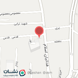 عکس چرم طبیعی سورنا