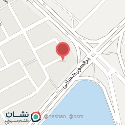 عکس النا گل