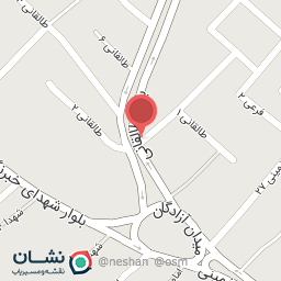 عکس پیتزا انزو