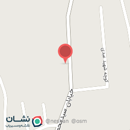 عکس پیتزا ساندویچ میثم