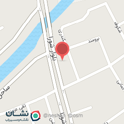 عکس اتو سرویس رضایی