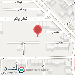 عکس رسام لیان ماشین