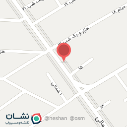 عکس باشگاه دینا