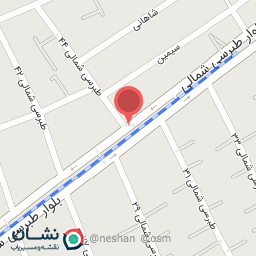 عکس فست فود ساندویچ سنتی