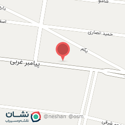 عکس اتو سرویس دکتر روغن