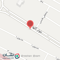 عکس کارشناسی و تشخیص رنگ خودرو حیدریان