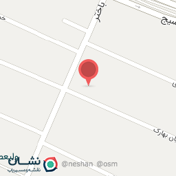 عکس چلوکبابی امیرکبیر