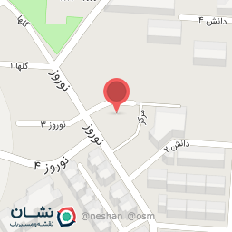 عکس دستپخت خانگی اشکنه